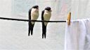 20170609_181046.jpg