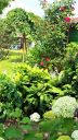 20170706_134352.jpg