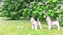 20170708_112444.jpg